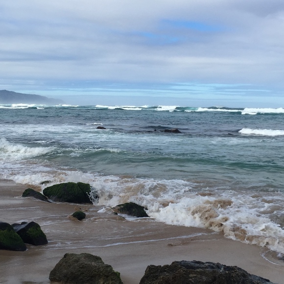 Meet your Posher, Manda - Picture 2 of 4